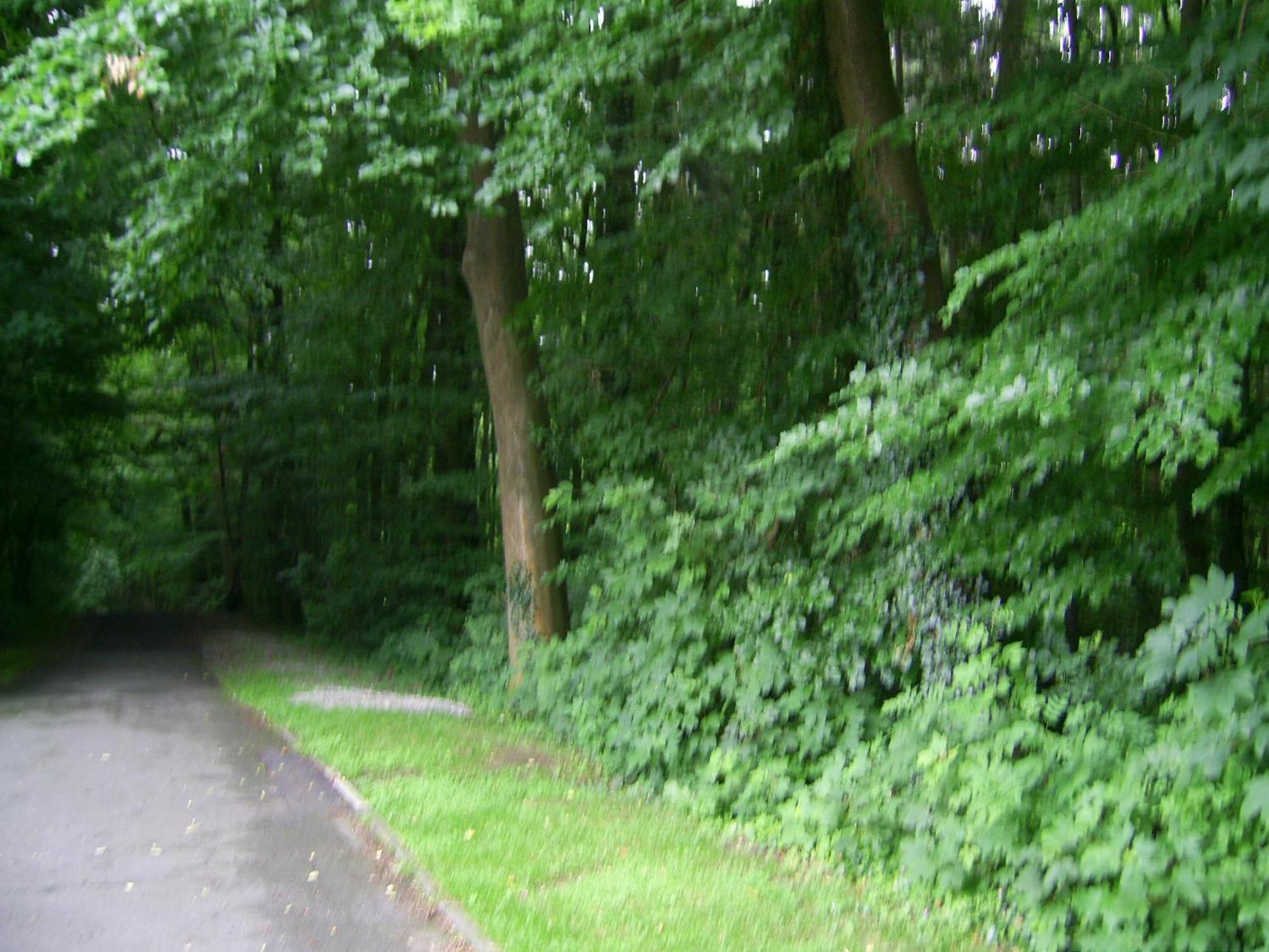 Waldpension Bielefeld Kültér fotó